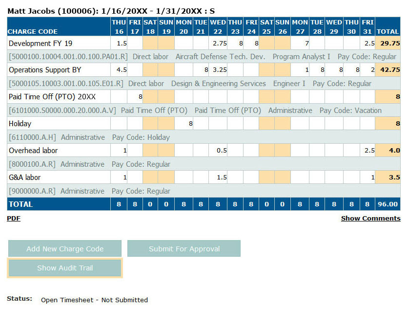 screenshot of web based timesheet in PROCAS software