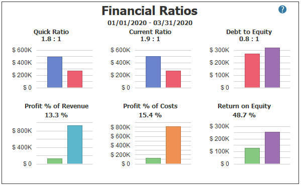 Financial Ratios in PROCAS Accounting Dashboard
